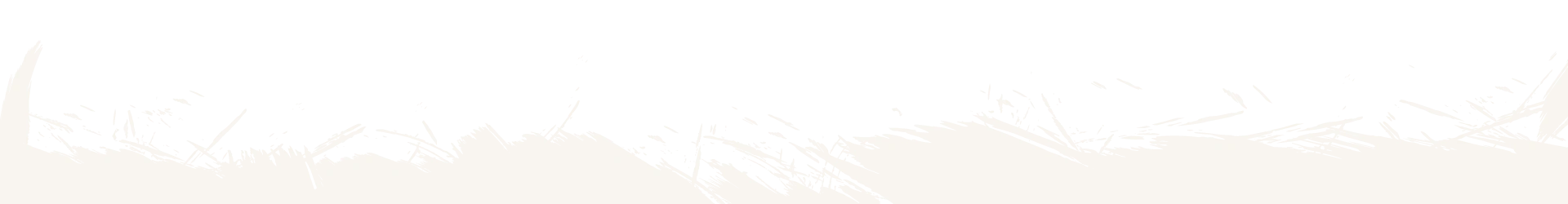 section-divider